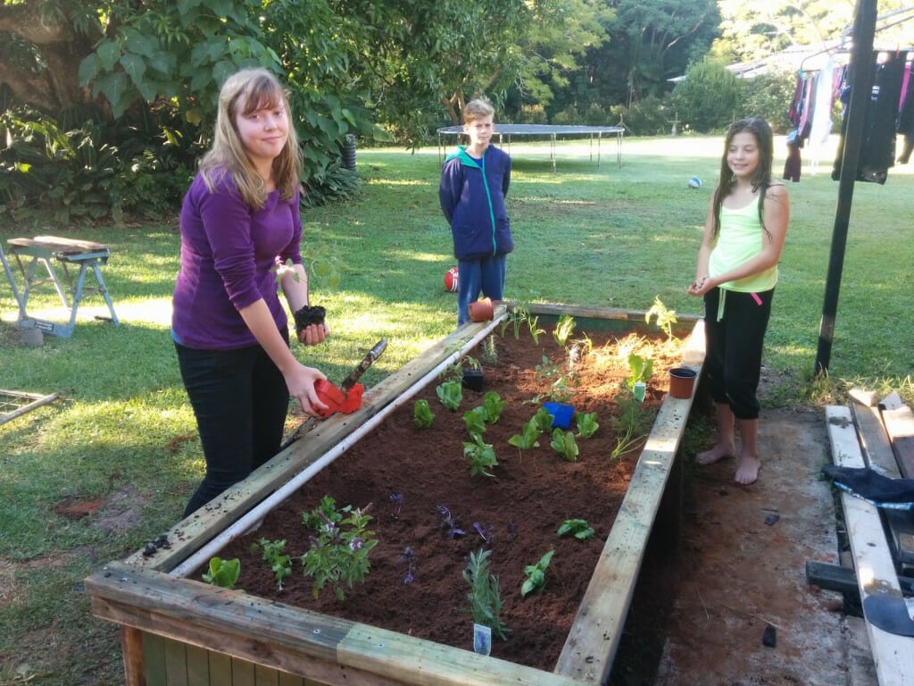 Raised Planter Comlete