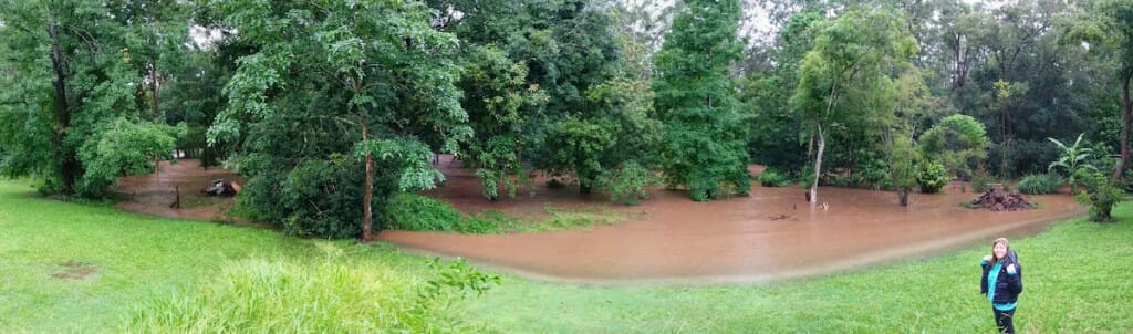 Floods still high on the garden