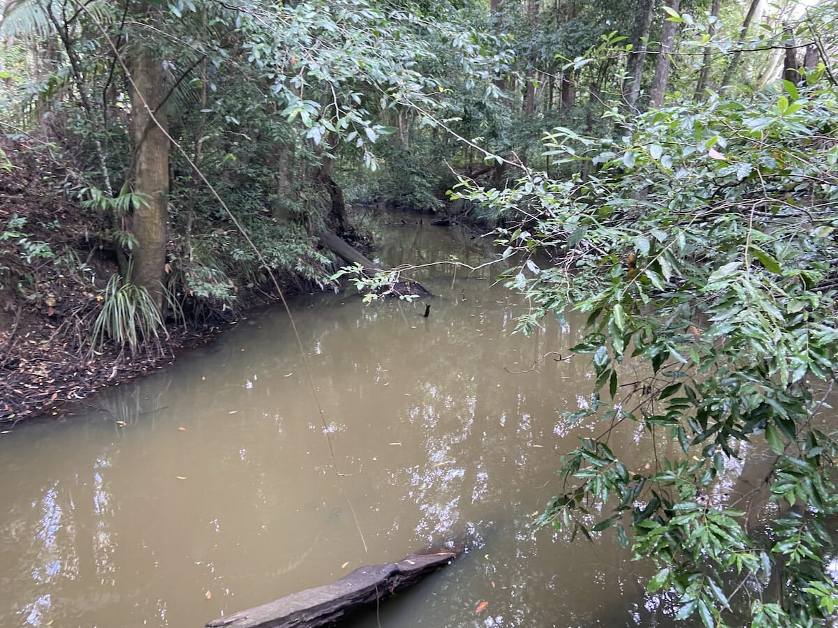 Coochin Creek near the Walton Bridge April 2020